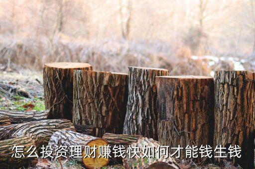 怎么投資理財(cái)賺錢(qián)快如何才能錢(qián)生錢(qián)