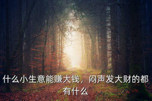 什么小生意能賺大錢，悶聲發(fā)大財?shù)亩加惺裁? class=