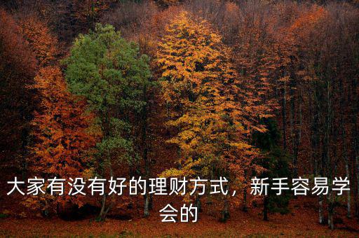 大家有沒有好的理財方式，新手容易學會的