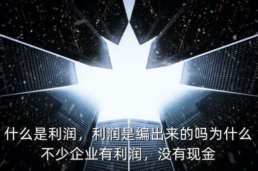 什么是利潤(rùn)，利潤(rùn)是編出來(lái)的嗎為什么不少企業(yè)有利潤(rùn)，沒(méi)有現(xiàn)金