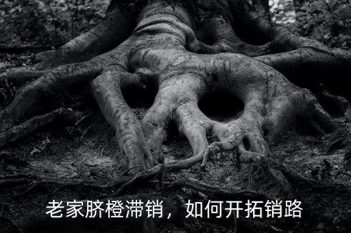 老家臍橙滯銷，如何開拓銷路