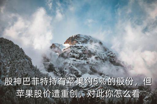 股神巴菲特持有蘋果約5％的股份，但蘋果股價遭重創(chuàng)，對此你怎么看