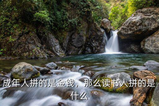 成年人拼的是金錢，那么讀書人拼的是什么
