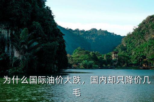 為什么國(guó)際油價(jià)大跌，國(guó)內(nèi)卻只降價(jià)幾毛
