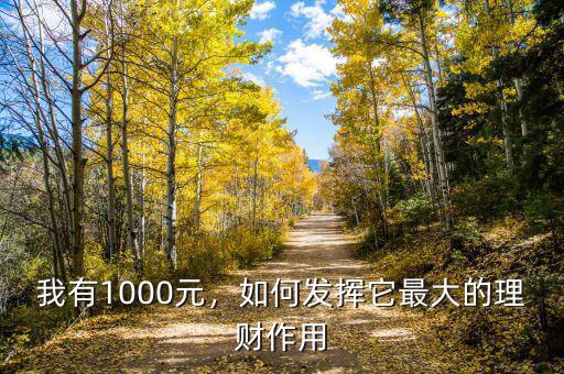 我有1000元，如何發(fā)揮它最大的理財(cái)作用