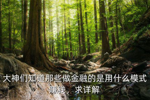 大神們知道那些做金融的是用什么模式賺錢，求詳解