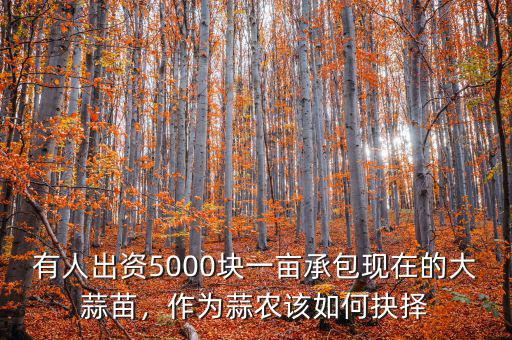 有人出資5000塊一畝承包現(xiàn)在的大蒜苗，作為蒜農(nóng)該如何抉擇