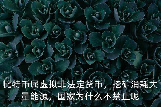 比特幣屬虛擬非法定貨幣，挖礦消耗大量能源，國家為什么不禁止呢
