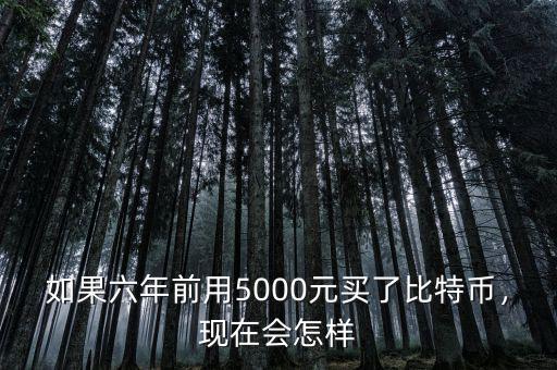 如果六年前用5000元買了比特幣，現(xiàn)在會怎樣