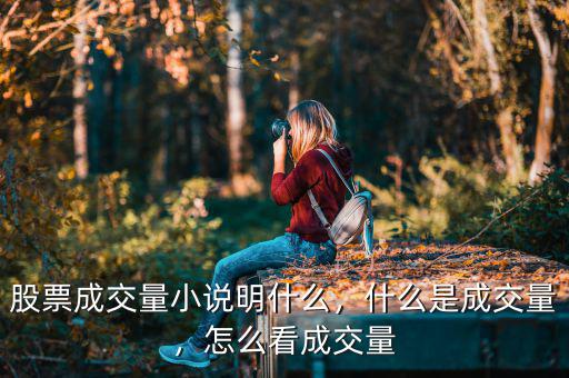 股票成交量小說(shuō)明什么，什么是成交量，怎么看成交量
