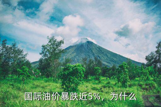 國際油價暴跌近5%，為什么