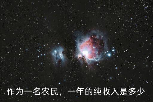 作為一名農(nóng)民，一年的純收入是多少