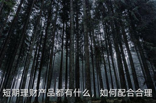 短期理財產(chǎn)品都有什么，如何配合合理