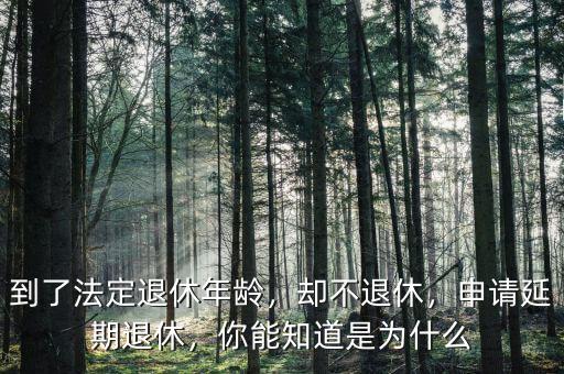 到了法定退休年齡，卻不退休，申請(qǐng)延期退休，你能知道是為什么