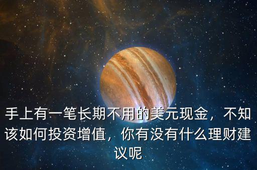 手上有一筆長期不用的美元現(xiàn)金，不知該如何投資增值，你有沒有什么理財建議呢