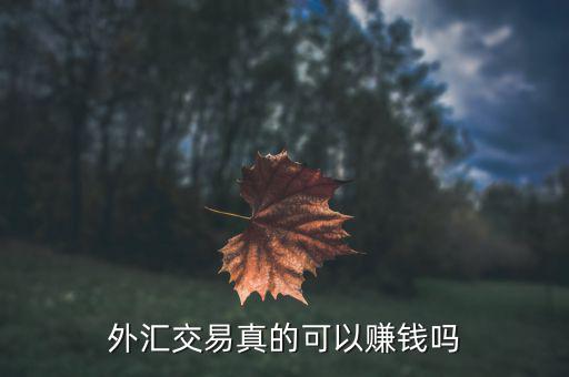 外匯交易真的可以賺錢(qián)嗎