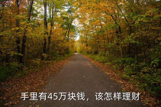 手里有45萬塊錢，該怎樣理財(cái)
