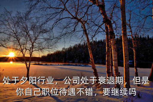 處于夕陽(yáng)行業(yè)，公司處于衰退期，但是你自己職位待遇不錯(cuò)，要繼續(xù)嗎