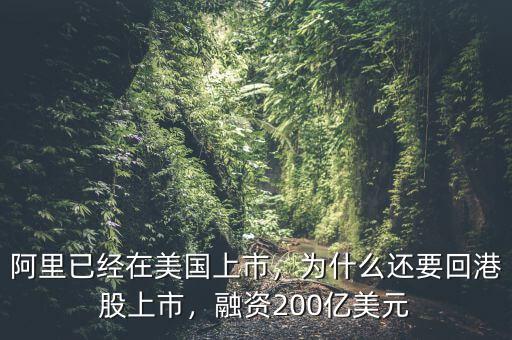 阿里已經(jīng)在美國(guó)上市，為什么還要回港股上市，融資200億美元