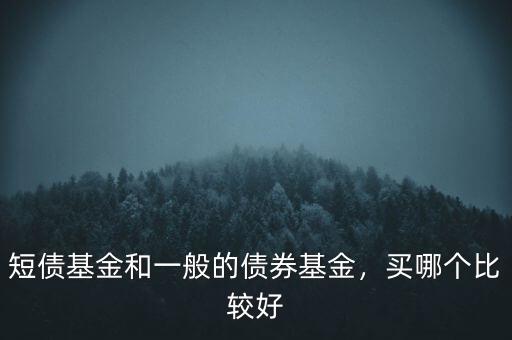 短債基金和一般的債券基金，買(mǎi)哪個(gè)比較好