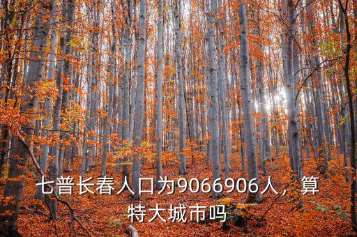 七普長(zhǎng)春人口為9066906人，算特大城市嗎