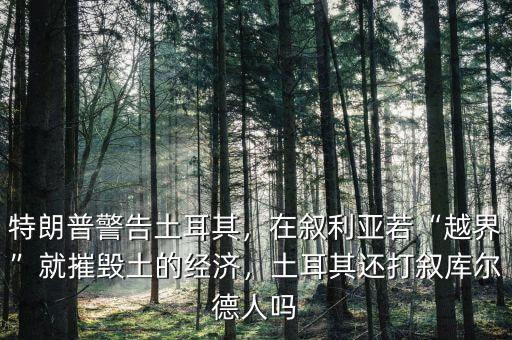 特朗普警告土耳其，在敘利亞若“越界”就摧毀土的經(jīng)濟(jì)，土耳其還打敘庫(kù)爾德人嗎
