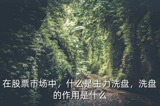 在股票市場(chǎng)中，什么是主力洗盤，洗盤的作用是什么