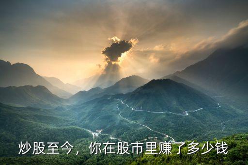 炒股至今，你在股市里賺了多少錢(qián)