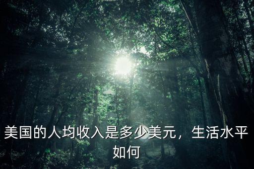 美國的人均收入是多少美元，生活水平如何