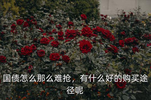 國債怎么那么難搶，有什么好的購買途徑呢