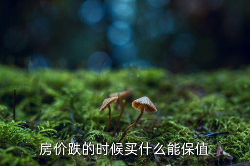 房產泡沫下什么最保值,通貨膨脹下什么最保值