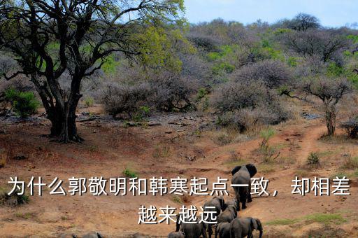 為什么郭敬明和韓寒起點一致，卻相差越來越遠