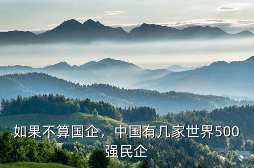 如果不算國(guó)企，中國(guó)有幾家世界500強(qiáng)民企