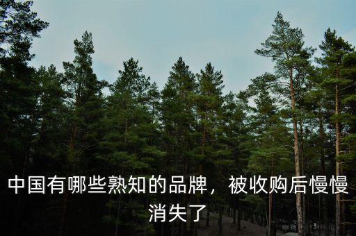 中國有哪些熟知的品牌，被收購后慢慢消失了