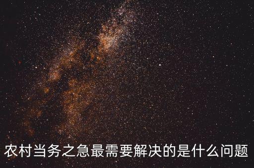 農(nóng)村當務(wù)之急最需要解決的是什么問題