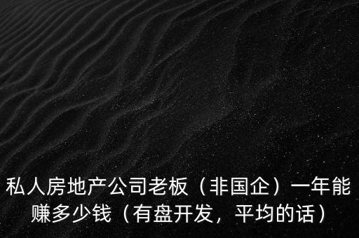 私人房地產(chǎn)公司老板（非國(guó)企）一年能賺多少錢（有盤開發(fā)，平均的話）