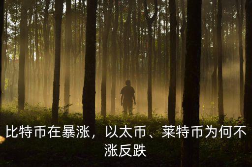 比特幣在暴漲，以太幣、萊特幣為何不漲反跌