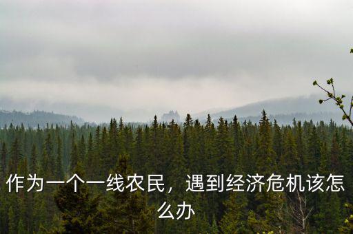 作為一個(gè)一線農(nóng)民，遇到經(jīng)濟(jì)危機(jī)該怎么辦