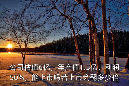公司估值6億，年產(chǎn)值1.5億，利潤(rùn)50%，能上市嗎若上市會(huì)翻多少倍