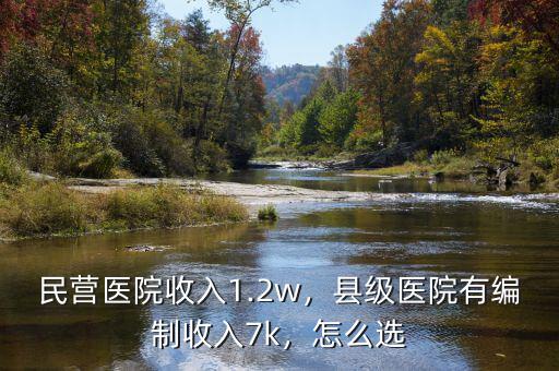 民營醫(yī)院收入1.2w，縣級醫(yī)院有編制收入7k，怎么選