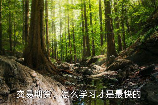 交易期貨，怎么學習才是最快的