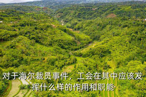 對(duì)于海爾裁員事件，工會(huì)在其中應(yīng)該發(fā)揮什么樣的作用和職能