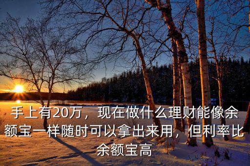 手上有20萬，現(xiàn)在做什么理財能像余額寶一樣隨時可以拿出來用，但利率比余額寶高