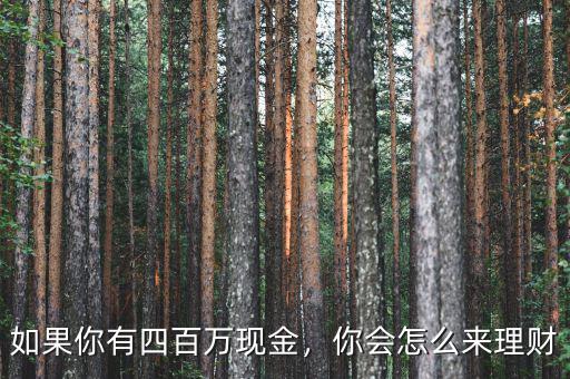 如果你有四百萬現(xiàn)金，你會(huì)怎么來理財(cái)