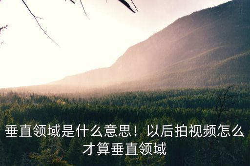 垂直領(lǐng)域是什么意思！以后拍視頻怎么才算垂直領(lǐng)域