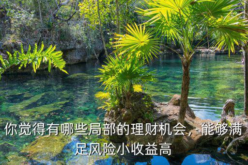 你覺得有哪些局部的理財(cái)機(jī)會(huì)，能夠滿足風(fēng)險(xiǎn)小收益高
