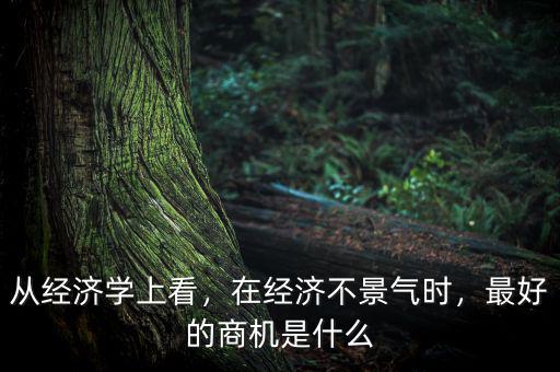 從經(jīng)濟學上看，在經(jīng)濟不景氣時，最好的商機是什么