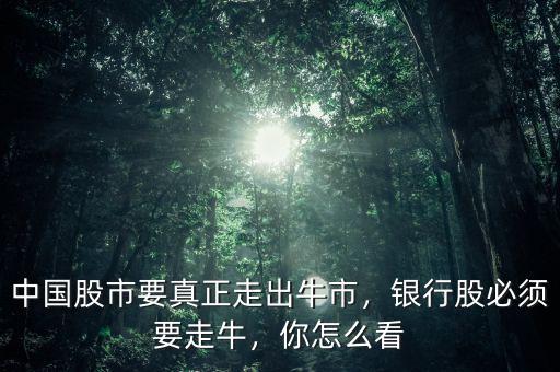 中國股市要真正走出牛市，銀行股必須要走牛，你怎么看