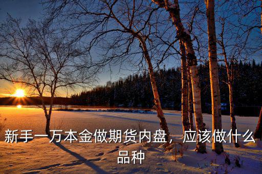 新手一萬本金做期貨內(nèi)盤，應(yīng)該做什么品種
