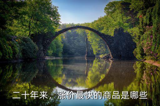 二十年來，漲價(jià)最快的商品是哪些